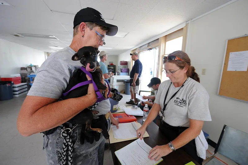 Dobrovolník předává psa při příjmu do útulku, ilustrační záběr k útulek Bouchalka