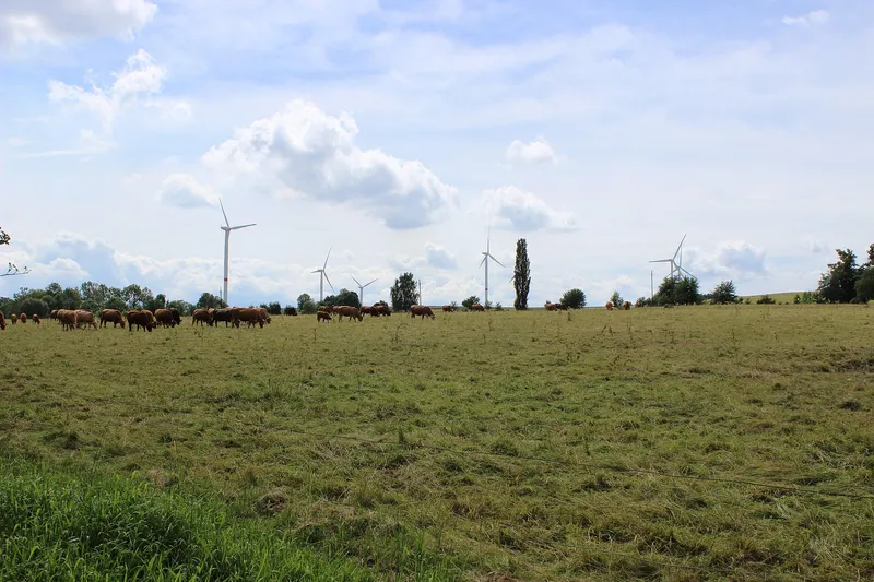 Větrné elektrárny v krajině u Andělky v severních Čechách