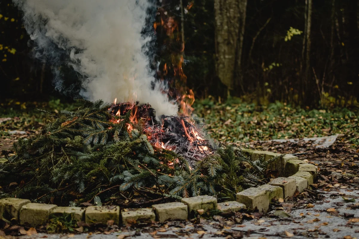 Kurjenje odpadkov na vrtu: gost dim iz gorečih vej